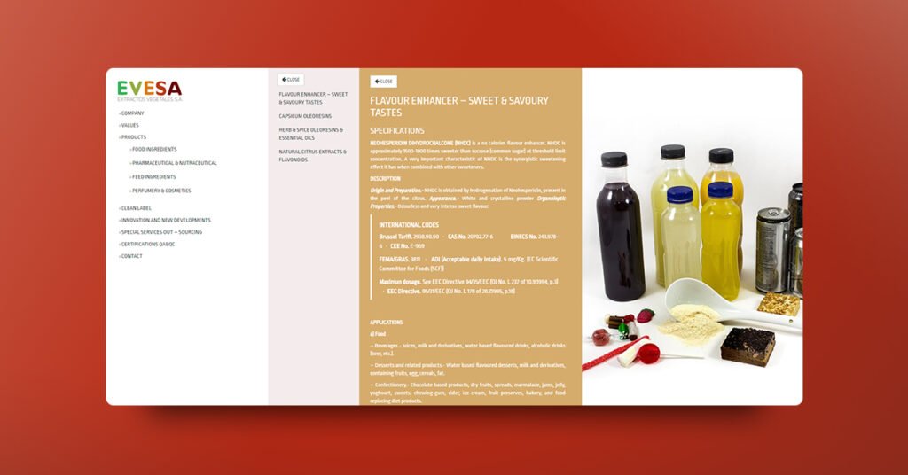 Diseño y programación web EVESA - Creaktiva