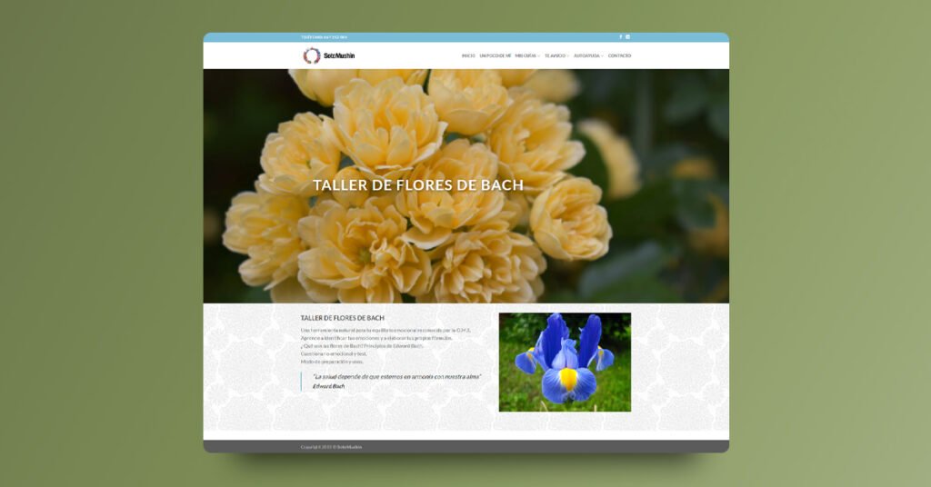 Diseño y programación web SotoMushin - Creaktiva