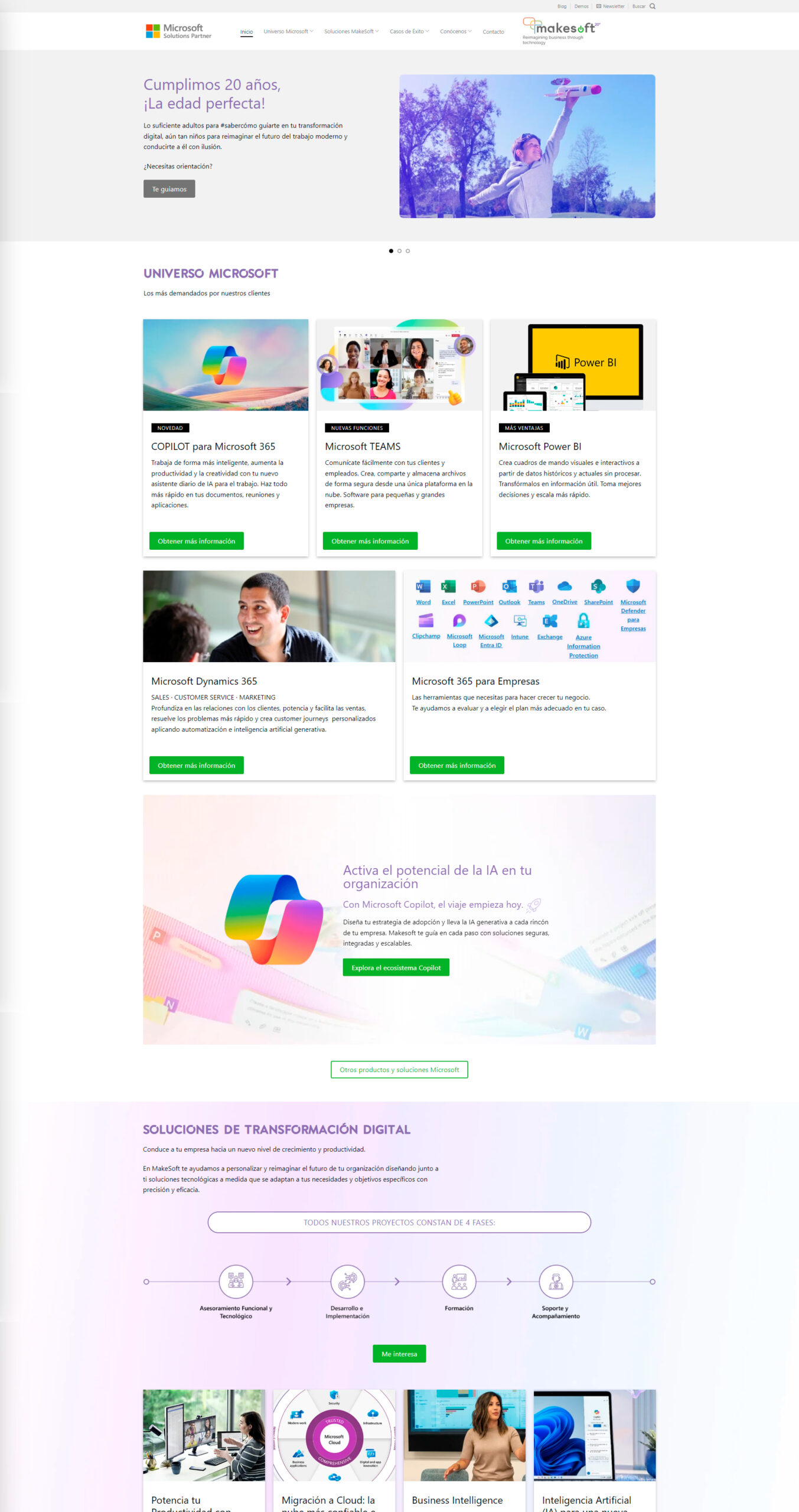 Makesoft Technologies - Diseño web en Madrid - Creaktiva